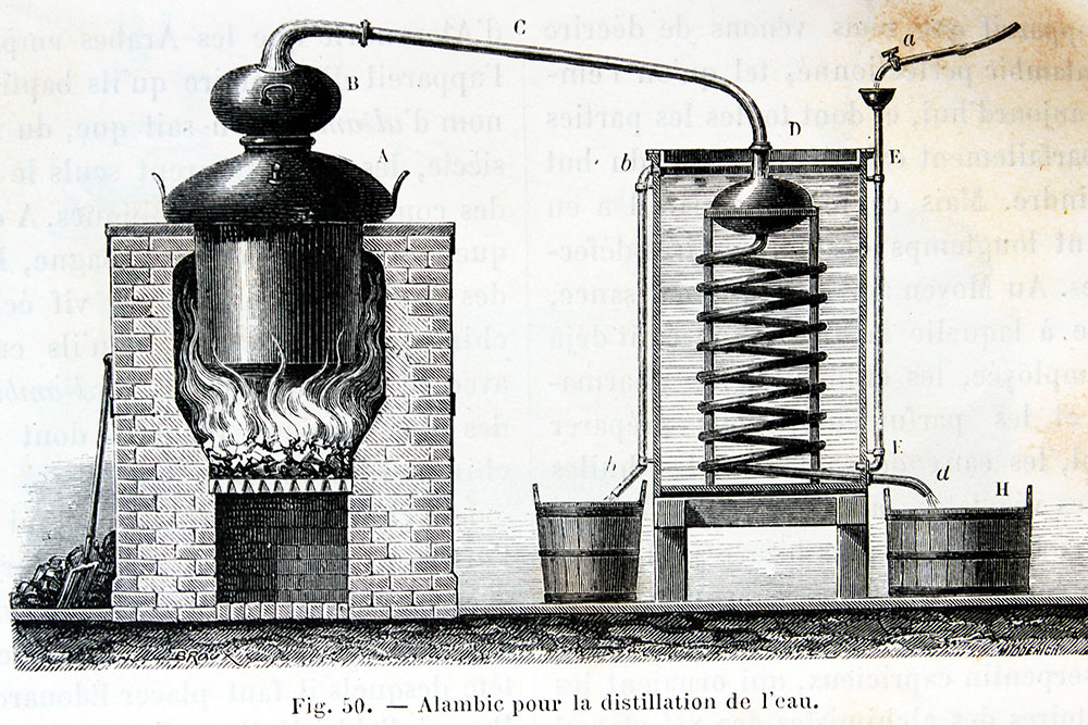 Steam Distillation for Essential Oil Extraction