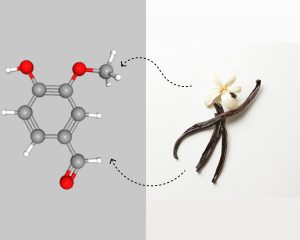 آشنایی کامل با وانیلین: ترکیب، منابع تولید و کاربردهای آن